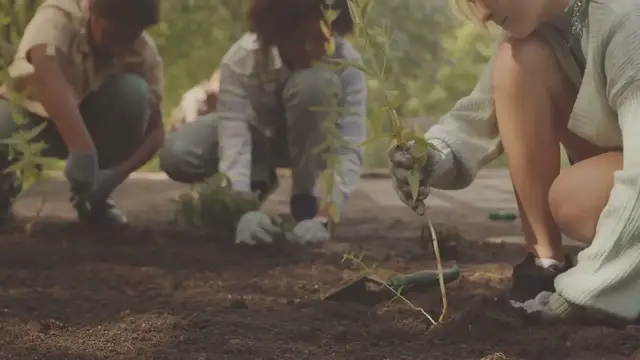 Video thumbnail for The Rise of ESG Investing: Environmental, Social, and Governance Criteria