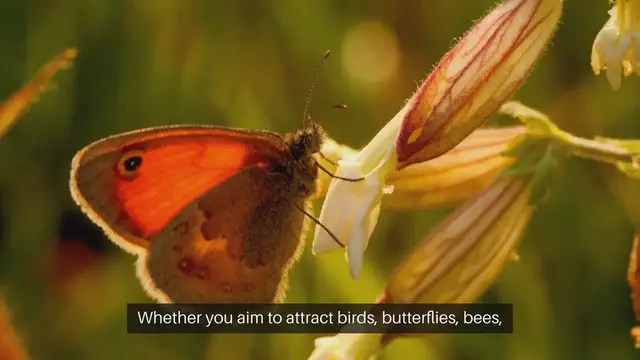 Video thumbnail for Starting Seeds for Wildlife Habitats