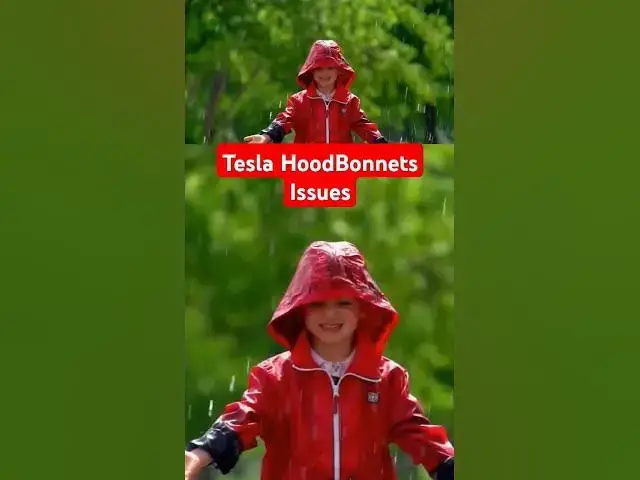 'Video thumbnail for Tesla HoodBonnets Issues'