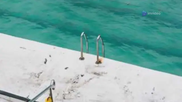 Video thumbnail for How To Keep It Clean and Safe