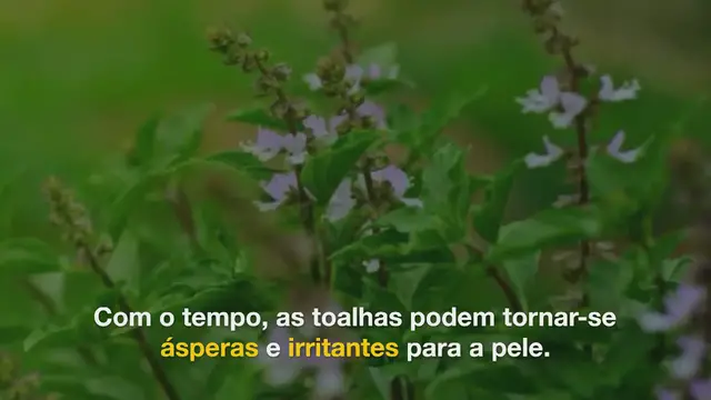 Video thumbnail for Como você lava suas toalhas para mantê-las macias e fofas?