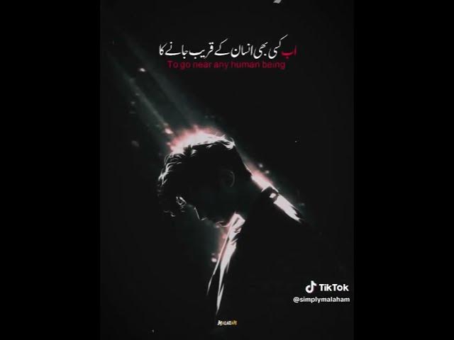 Video thumbnail for it's 100% Reality #lifeisbutadream