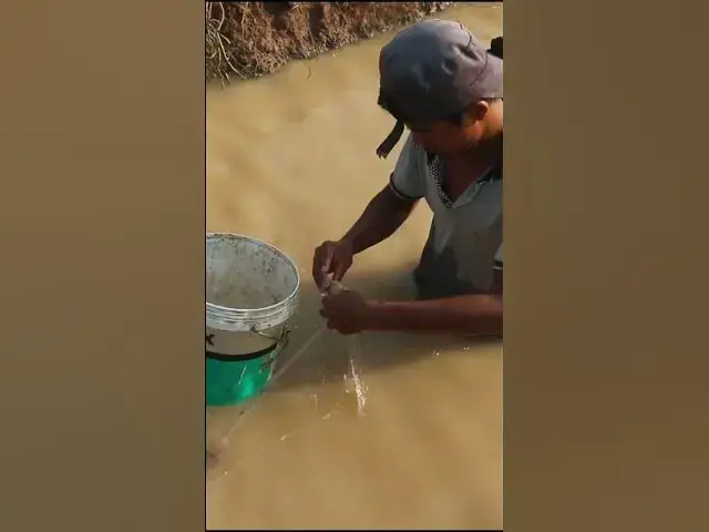 Video thumbnail for Fishman Catch Fish  Ep091 #shortbird #fishcatch #wildfish #topcatch #fish #viralfish