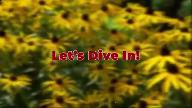 Video thumbnail for 9 Best Summer Flowers that Won’t Stop Blooming