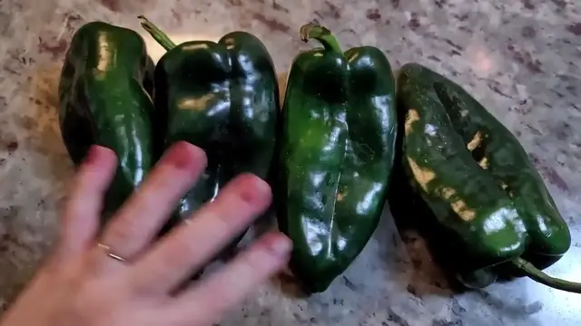 'Video thumbnail for 5 MEATLESS Recipe Ideas You Should TRY_(720P_HD)'