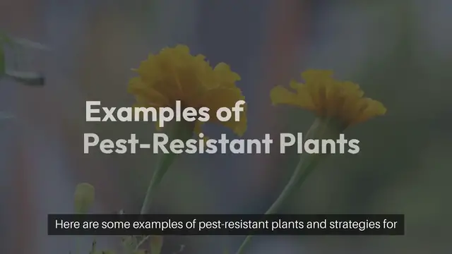 Video thumbnail for Pest Resistant Plants for Your Garden