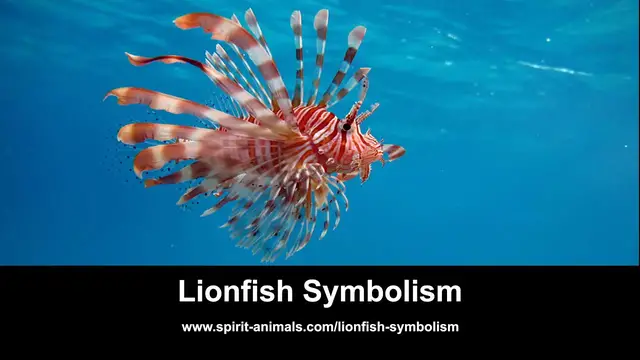 Video thumbnail for Lionfish Symbolism