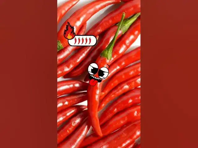 Video thumbnail for Drunk off spicy chili peppers? 🌶🙀