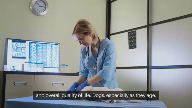 Video thumbnail for Dog Joint Health