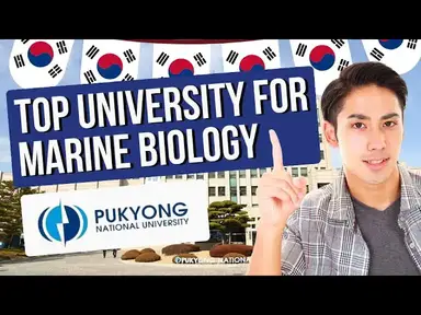 'Video thumbnail for Where to Study in Korea | How to Apply to Pukyong National University (Undergraduate)'