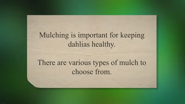 'Video thumbnail for The best mulch for dahlias: a comprehensive guide'