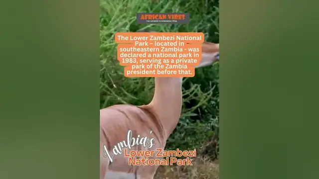 Video thumbnail for Zambia's Lower Zambezi national Park 2023 | African Vibes