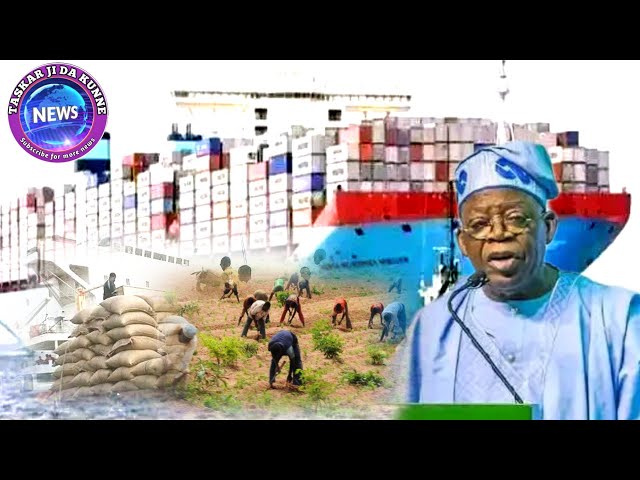 Video thumbnail for TOFA!! YANZU YANZU_GWAMNATIN TINUBU TAYO ORDER KAYAN ABINCI DAGA WAJE INDA TAGARGADI MASU BOYEWA