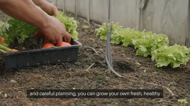 Video thumbnail for Beginner's Guide To Vegetable Gardening