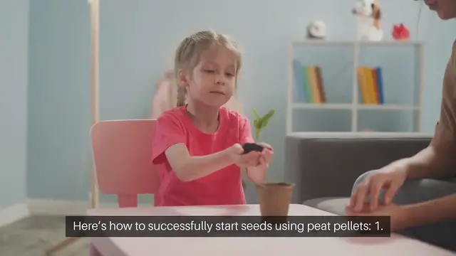 Video thumbnail for Starting Seeds in Peat Pellets