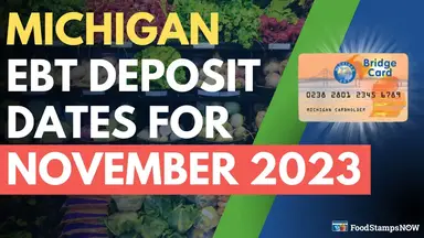 'Video thumbnail for Michigan Food Stamp Deposit Dates for November 2023'