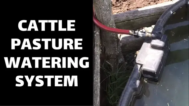 Video thumbnail for Cattle Pasture Watering System