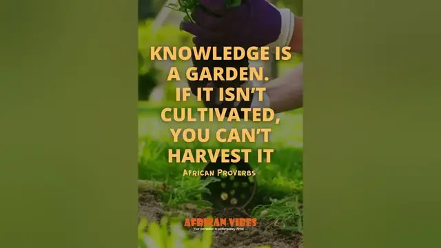 Video thumbnail for Best African Proverbs about knowledge #shorts #quotes #saying #proverbs
