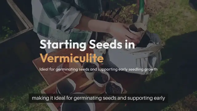 Video thumbnail for Starting Seeds in Vermiculite