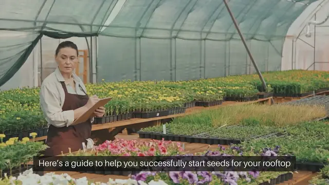 Video thumbnail for Seed Starting for Rooftop Gardens