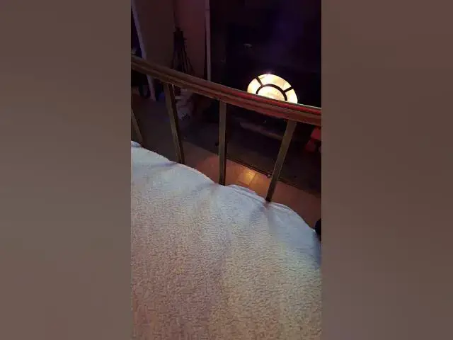 Video thumbnail for One Happy Cat.   Winter you find Tiggs here, till spring