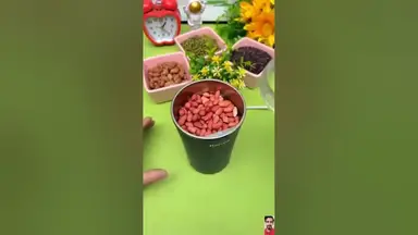 'Video thumbnail for Link in Bio β
| Compact Mini Electric Grinder'