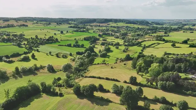 Video thumbnail for The Benefits of Diversifying Your Investment Portfolio