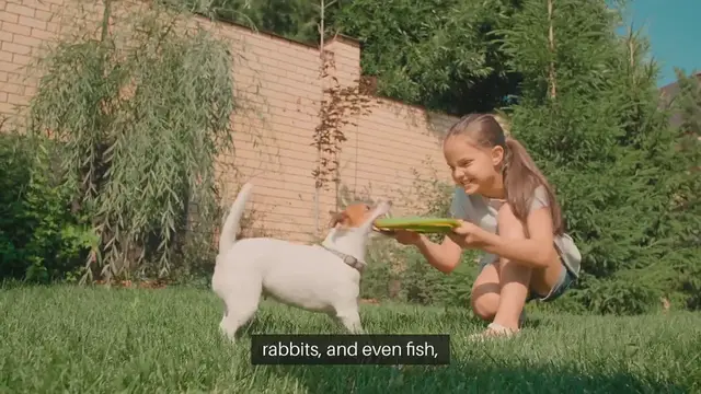 Video thumbnail for Pet Interaction with Children