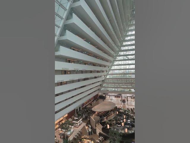 Video thumbnail for Gardens by the Bay Singapore