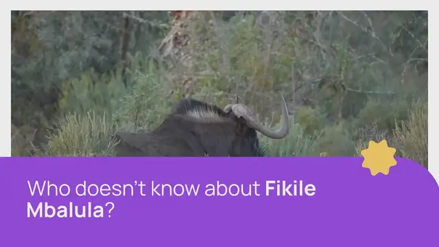 Video thumbnail for Fikile Mbalula Salary in Rands & Net Worth: