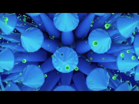 Video thumbnail for Energetic Exchange Between Planetary Systems - Initiations with Mystic, Marilynn Hughes