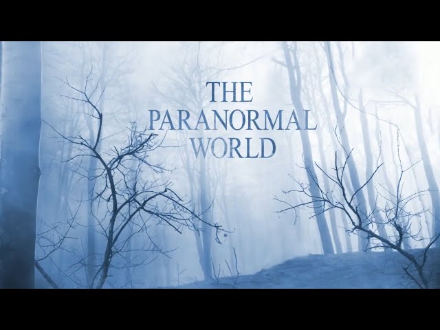 Video thumbnail for The Truth about Out-of-Body Experiences, Aage Nost, Marilynn Hughes, Out of Body Travel