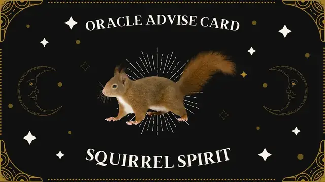 Video thumbnail for Pick A Card | Oracle Advise Card - Squirrel spirit
