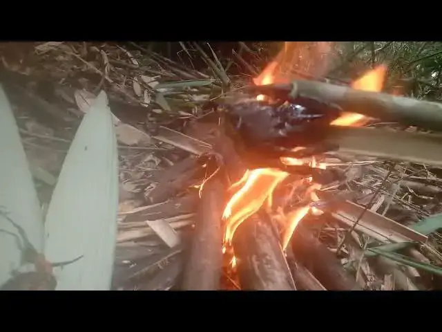 Video thumbnail for 14 April 2025