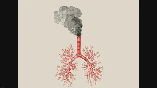 'Video thumbnail for Top 15 Common Air Pollutants That Are Harming You'
