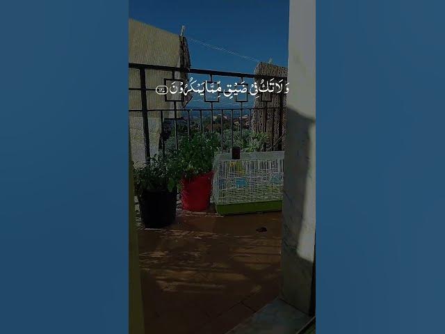 Video thumbnail for 27 Ottobre 2025