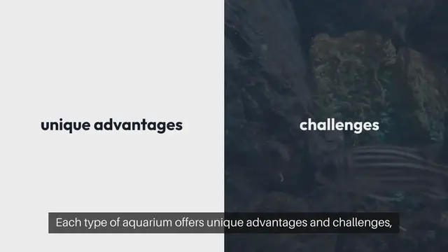 'Video thumbnail for Keeping Fish Freshwater vs. Saltwater Aquariums'