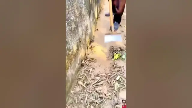 Video thumbnail for 🌟 Product Link is in Description | Multifunctional All-Steel Garden Cleaning Shovel |  #viral