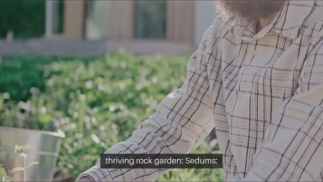 'Video thumbnail for Bestb Plants for Rock Gardens A Beginner'