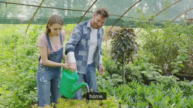 Video thumbnail for Indoor Gardening Window Ledge Gardening