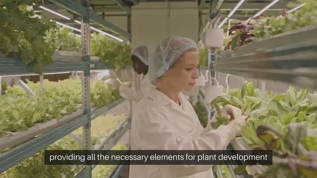 Video thumbnail for All About Hydroponic Nutrients