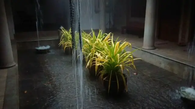 'Video thumbnail for Rain and home'
