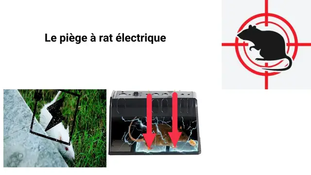 Video thumbnail for Le piège à rat électrique