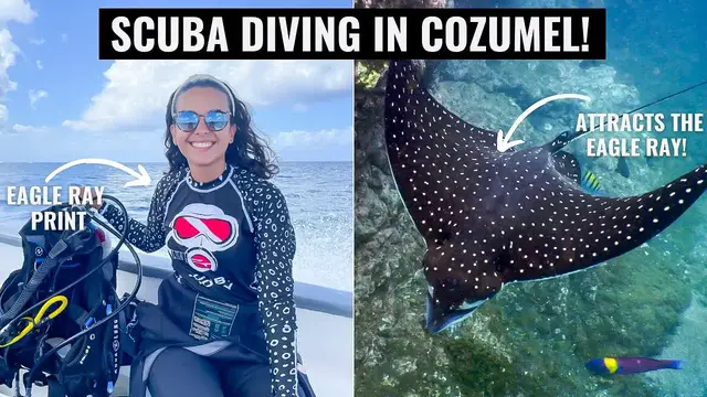 'Video thumbnail for BEST DIVING OF OUR LIVES! Eagle Rays, Turtles, Eels.. 🤯 Scuba Diving In Cozumel IS A DREAM!'