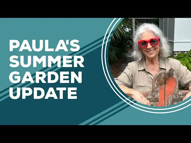 Video thumbnail for Love & Best Dishes: Paula's Summer Garden Update