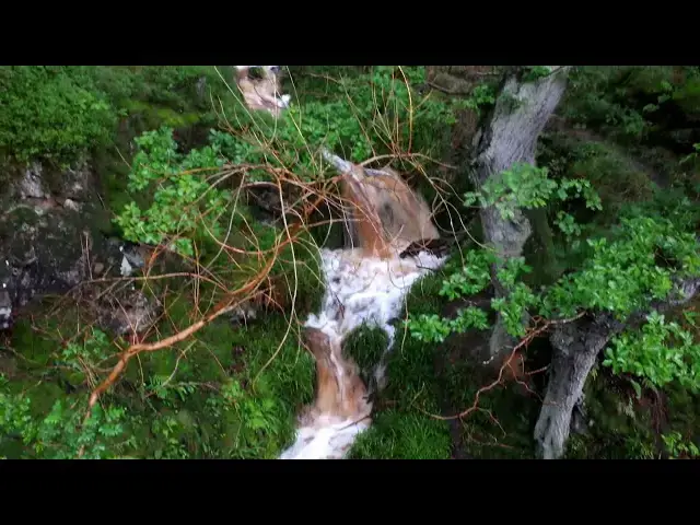 Video thumbnail for My Video