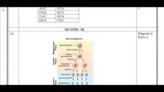 Video thumbnail for 12th Bio-Zoology First Mid Term Answer Keys 2019-20 | Namakkal District | English Medium