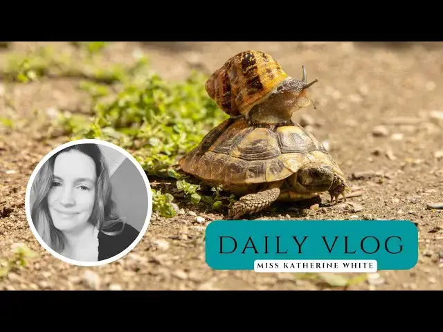 Video thumbnail for #DailyVlog! „Schnecke und Schildkröte laufen um die Wette!“ Mein Wochenendmotto! Keine Motivation.
