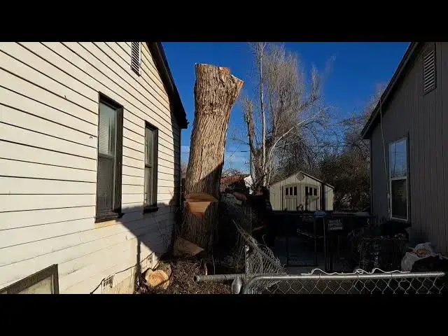 Video thumbnail for tight shot