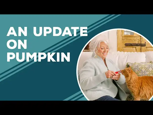 Video thumbnail for Love & Best Dishes: An Update on Pumpkin